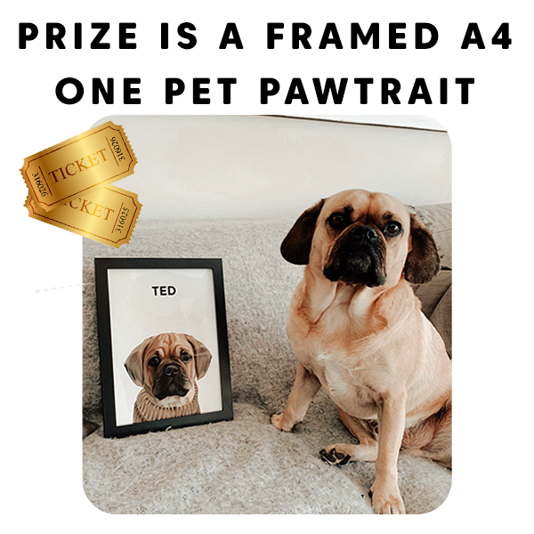 The Pawtrait Raffle