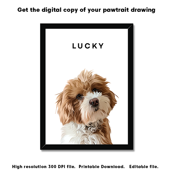 Digital Drawing Pet Portrait