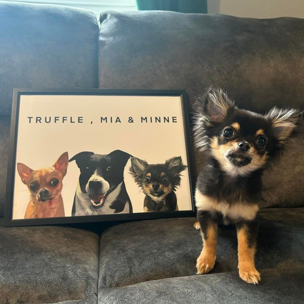 Three Pet Custom Pawtrait