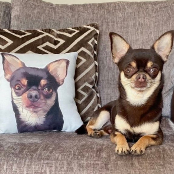Custom Pet Cushion