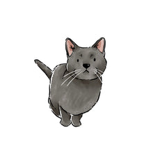 Load image into Gallery viewer, Copy of Pet Portrait Illustration

