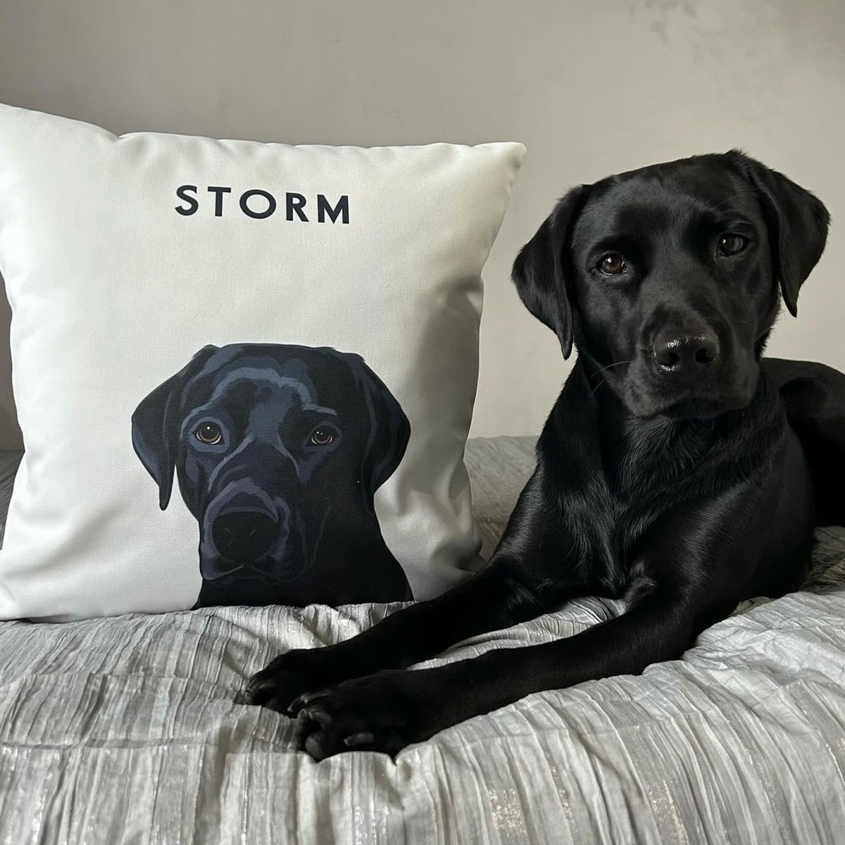 Custom Pet Cushion