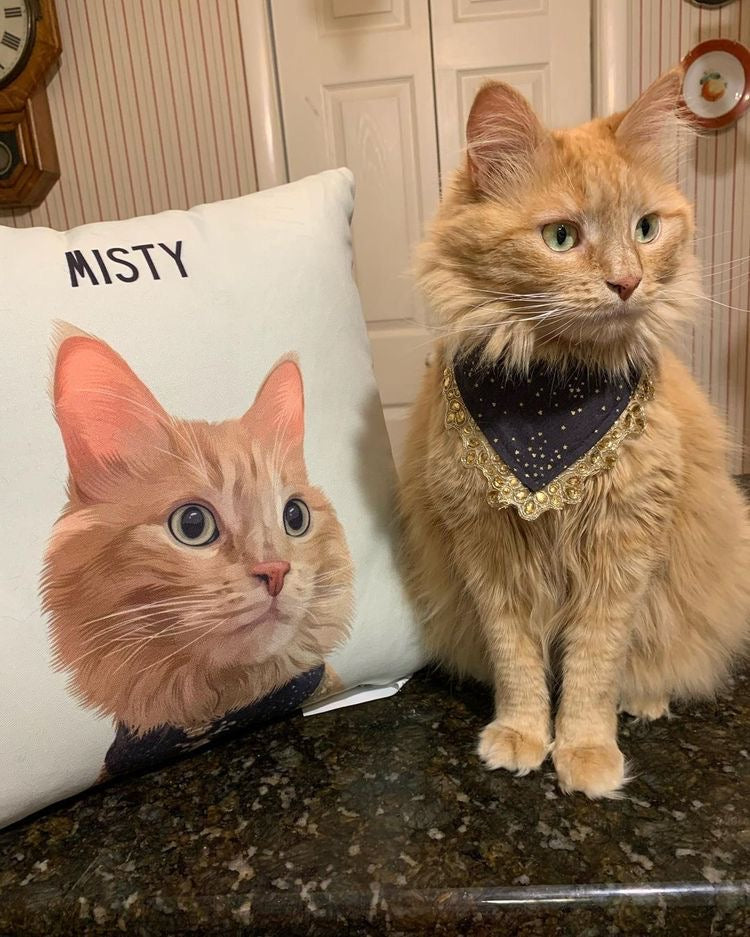 Custom Pet Cushion