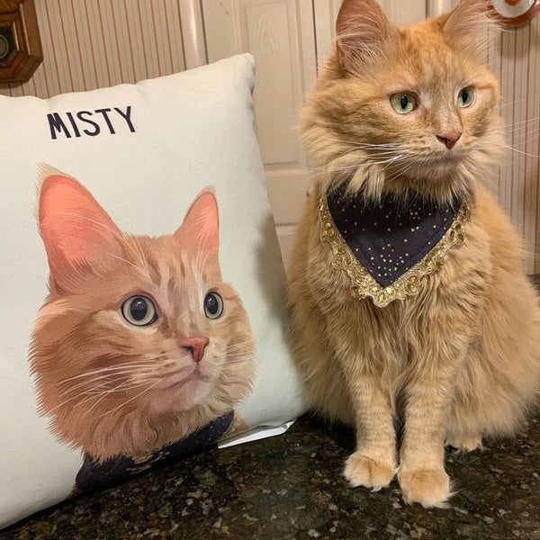 Custom Pet Cushion