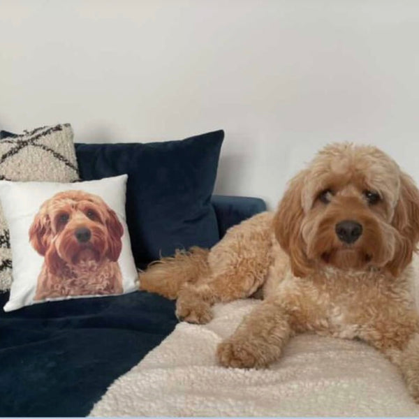 Custom Pet Cushion