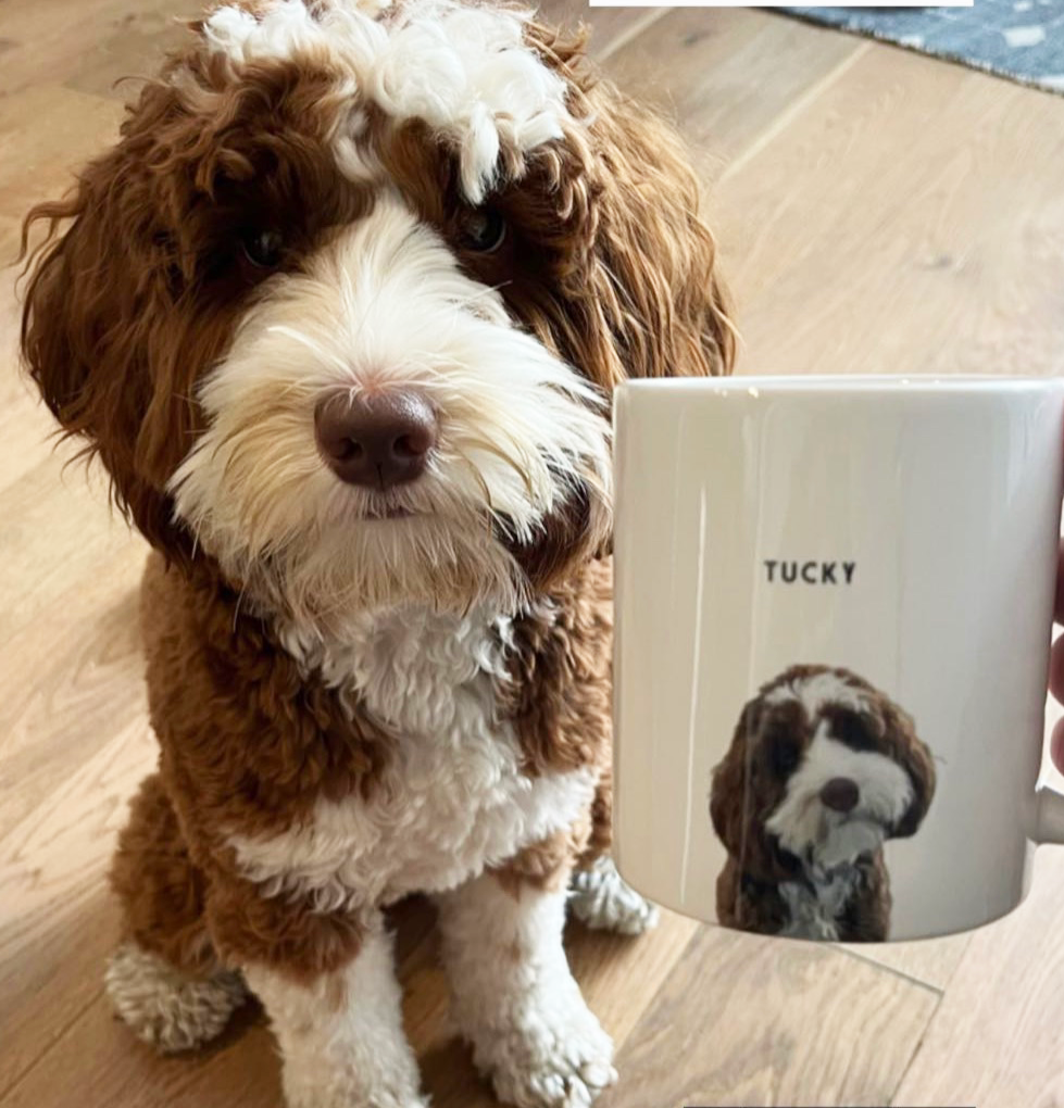 Matching Pawtrait Mug