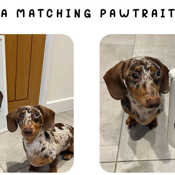 Matching Pawtrait Mug