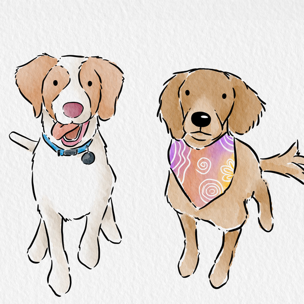 Pet Portrait Illustration