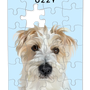 Pawtrait Puzzle