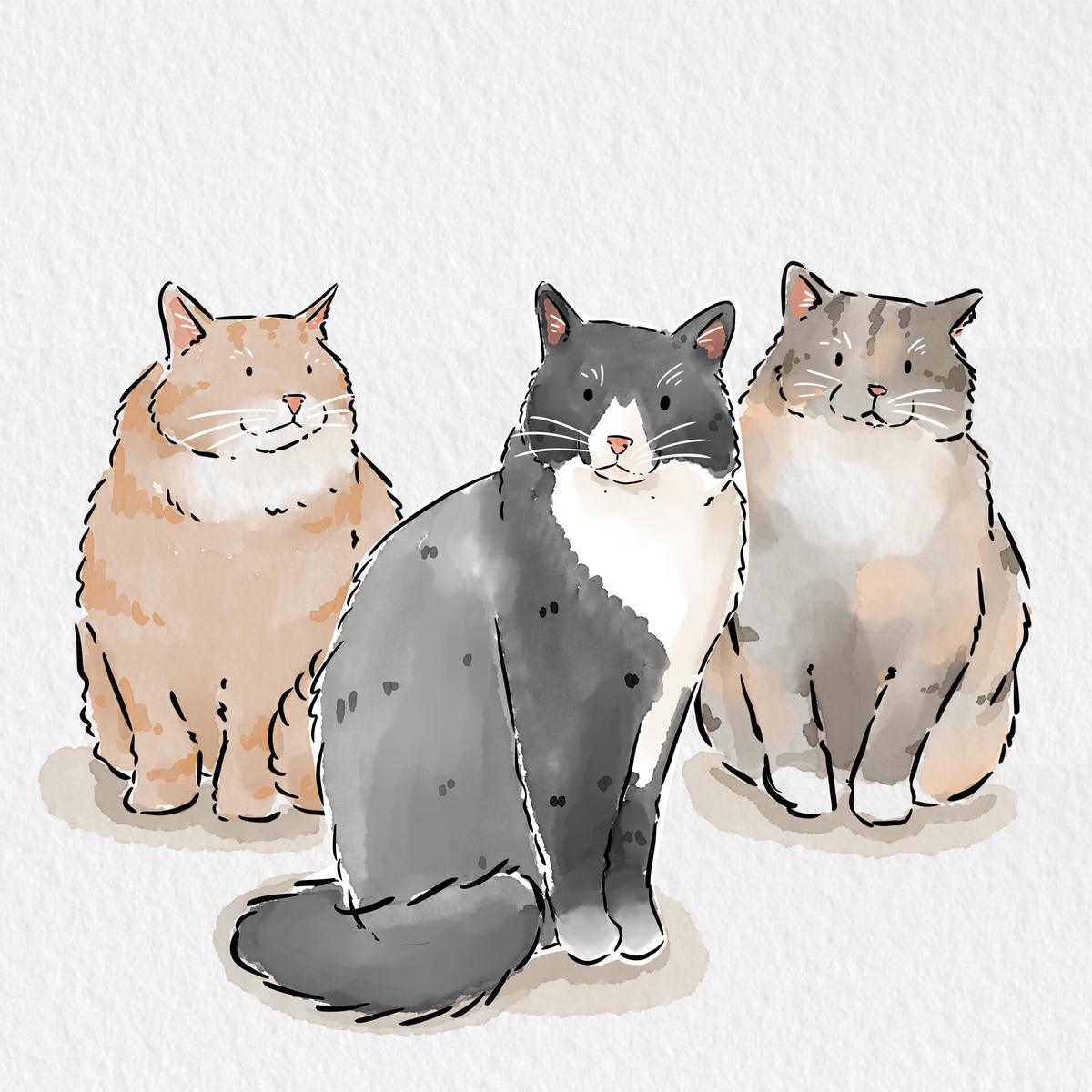 Pet Portrait Illustration