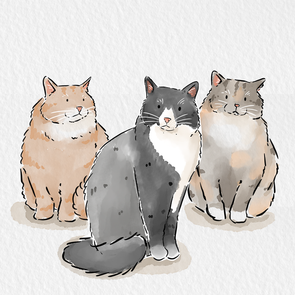 Pet Portrait Illustration