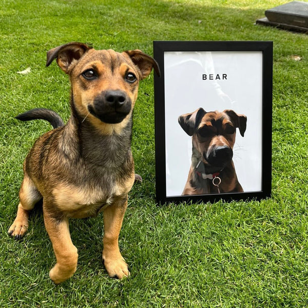 Custom Pet Portrait