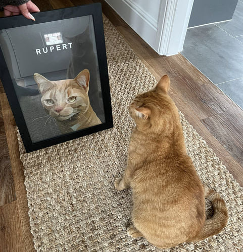 Custom Cat Portrait