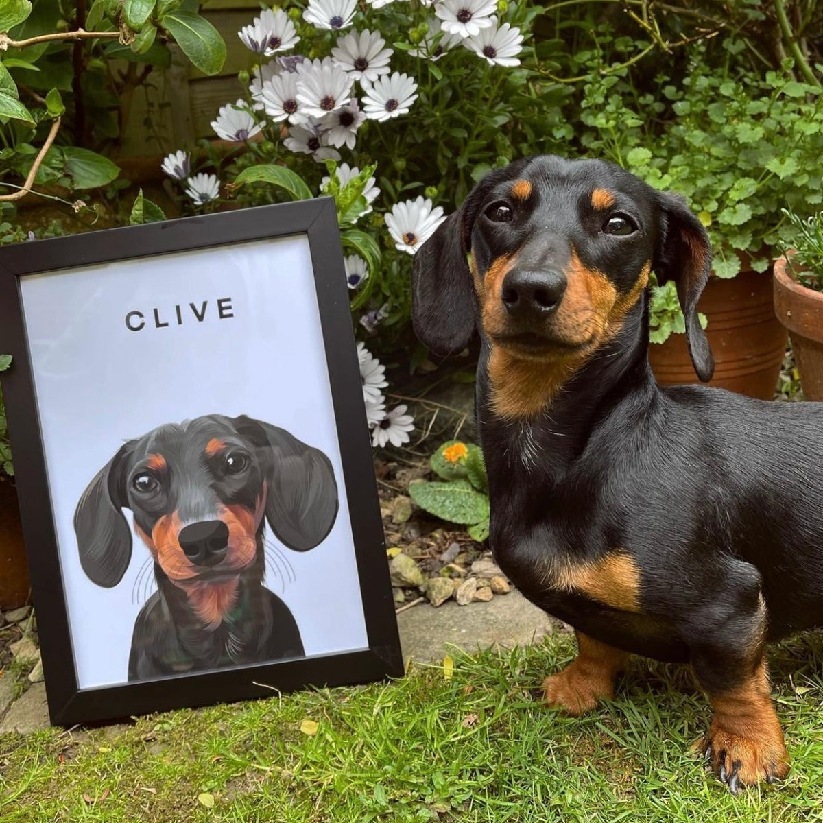 Custom Pawtrait