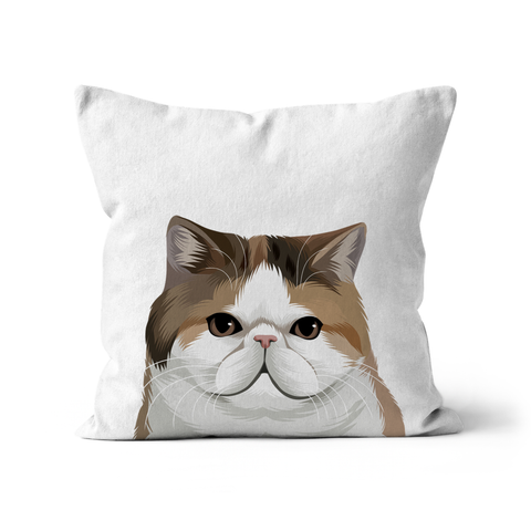 Custom Pet Cushion