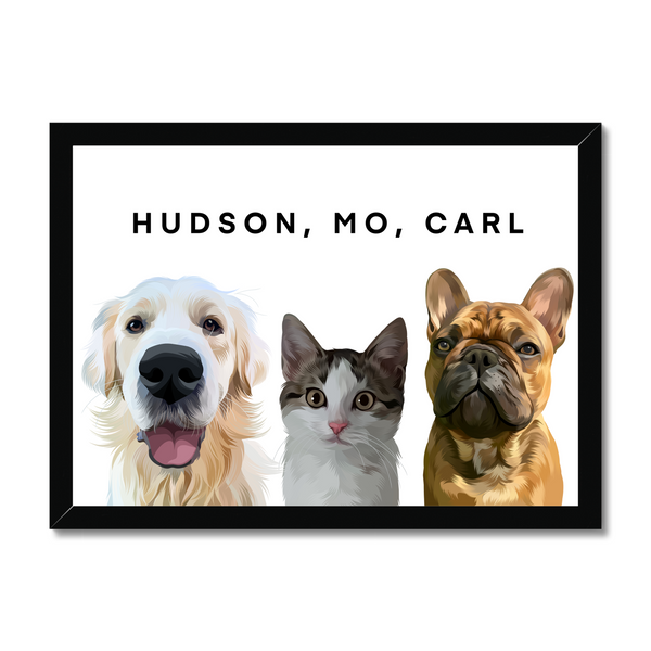 3 Pet Portrait