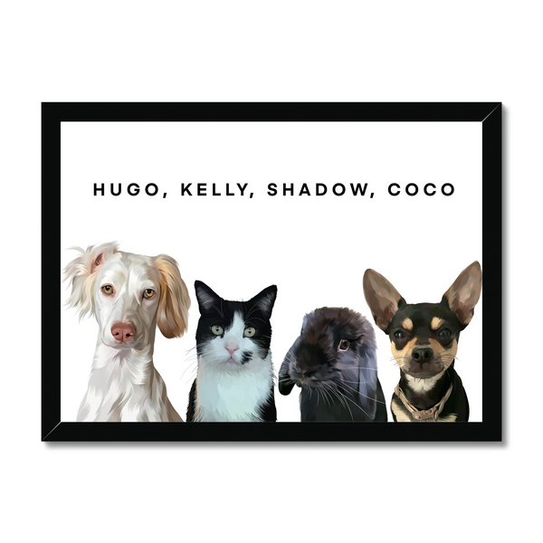 4 Pet Portrait