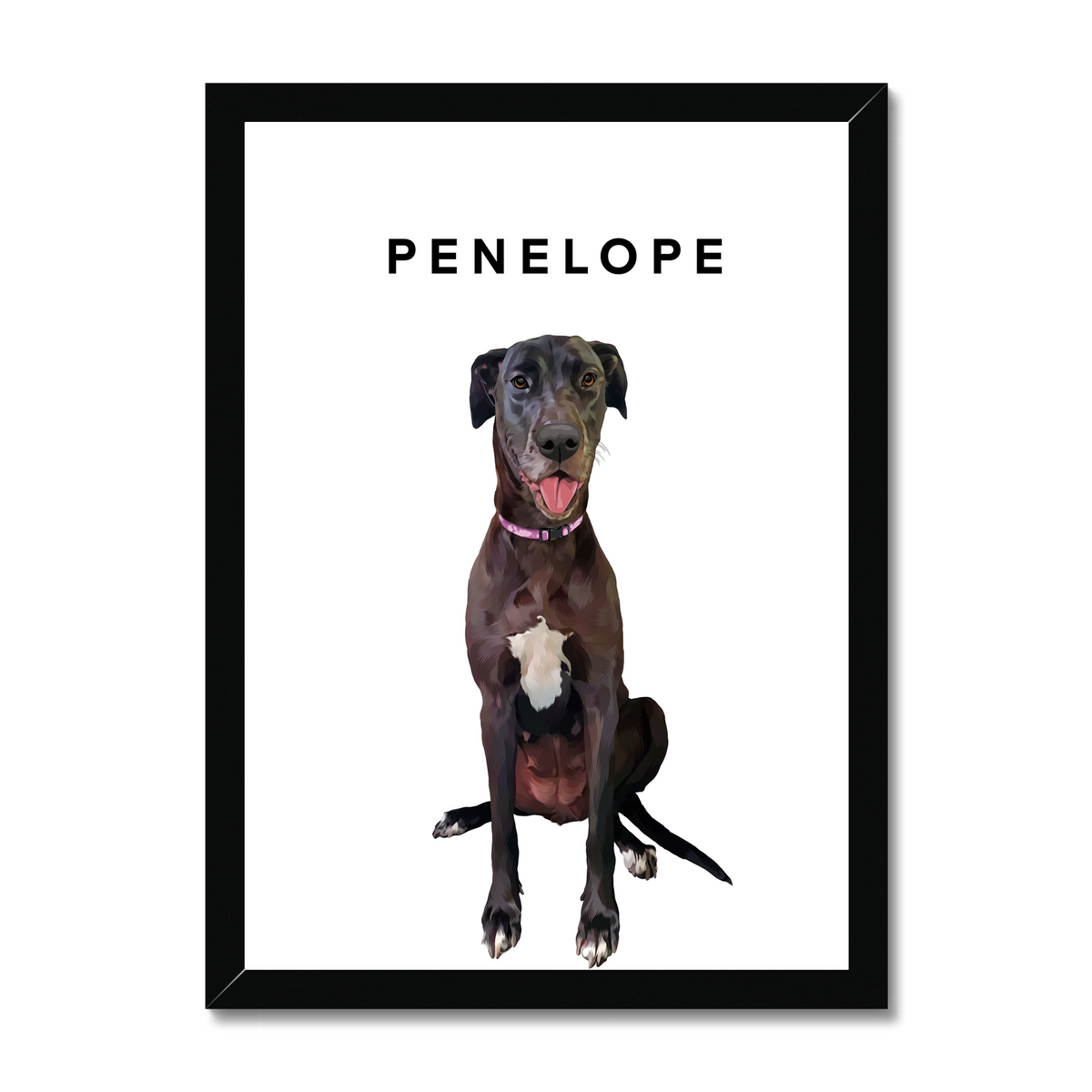 Full Body Pet Portrait
