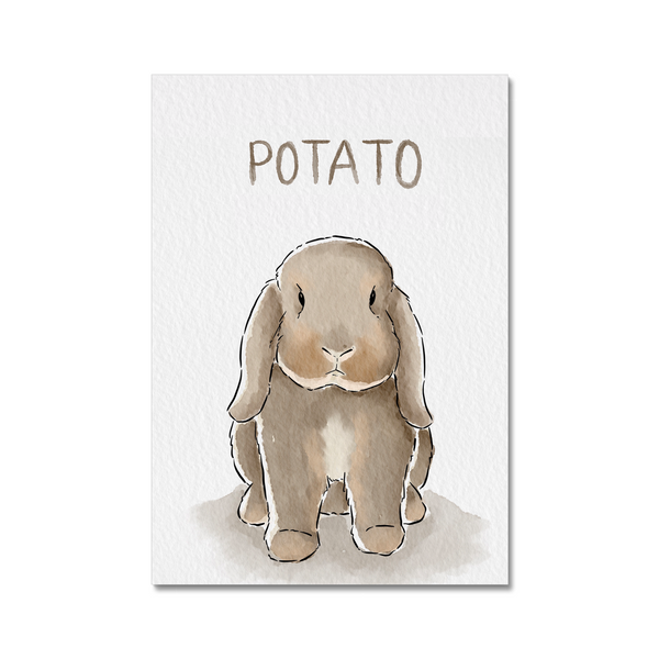 Pet Portrait Illustration